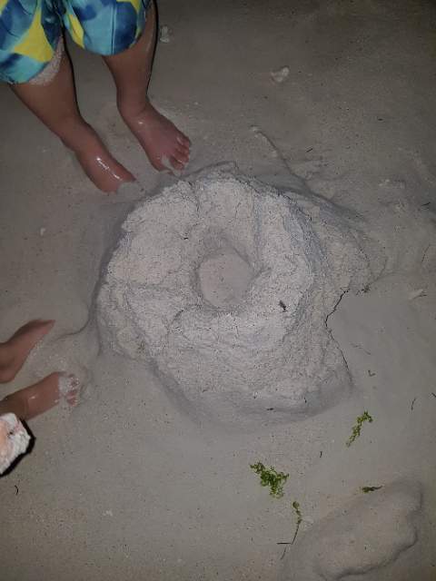 발리카삭 세번째 다이빙 - Balicasag - Black Forest