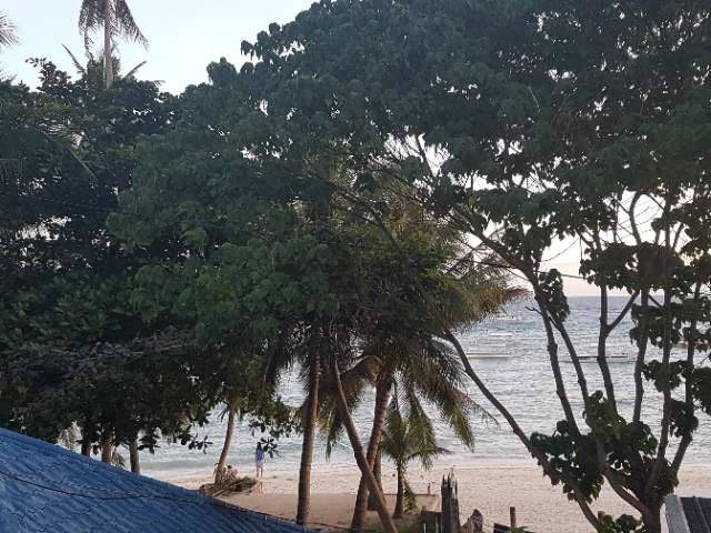 발리카삭 세번째 다이빙 - Balicasag - Black Forest