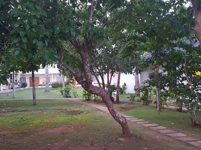 발리카삭 세번째 다이빙 - Balicasag - Black Forest