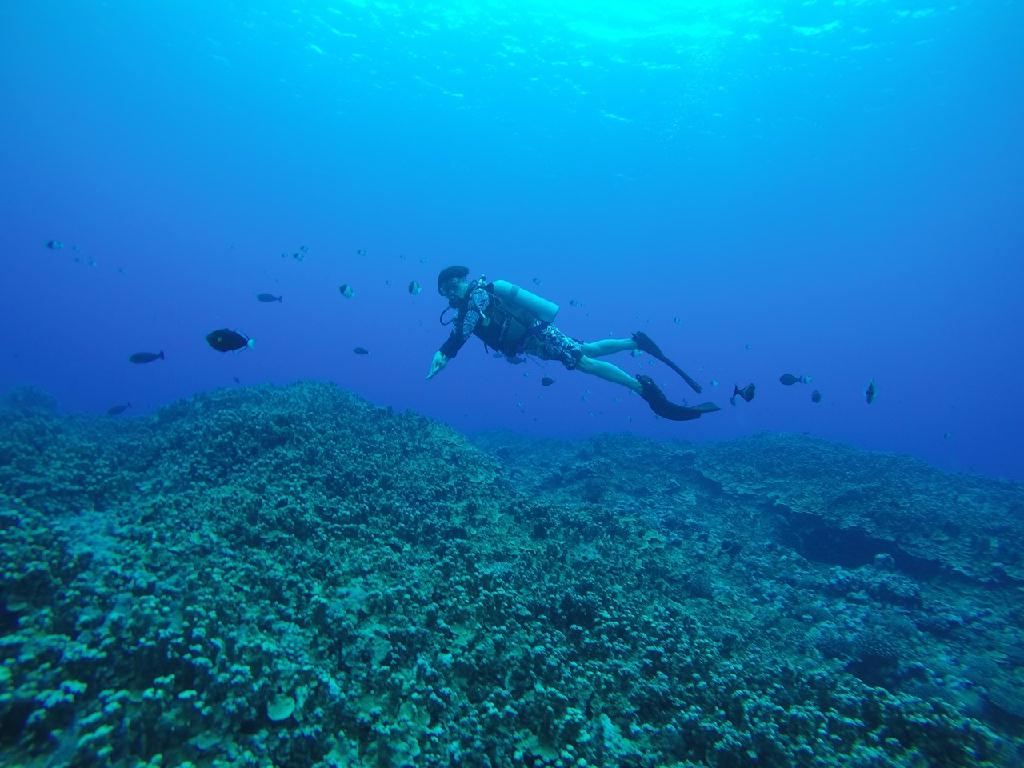 사이판-오로아이