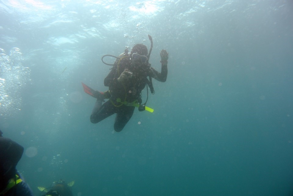와이홀 찍고 월 유형 - 필리핀 세부 막탄 와이다이브 - 와이홀