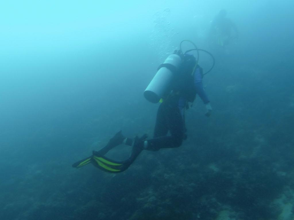 와이홀 찍고 월 유형 - 필리핀 세부 막탄 와이다이브 - 와이홀