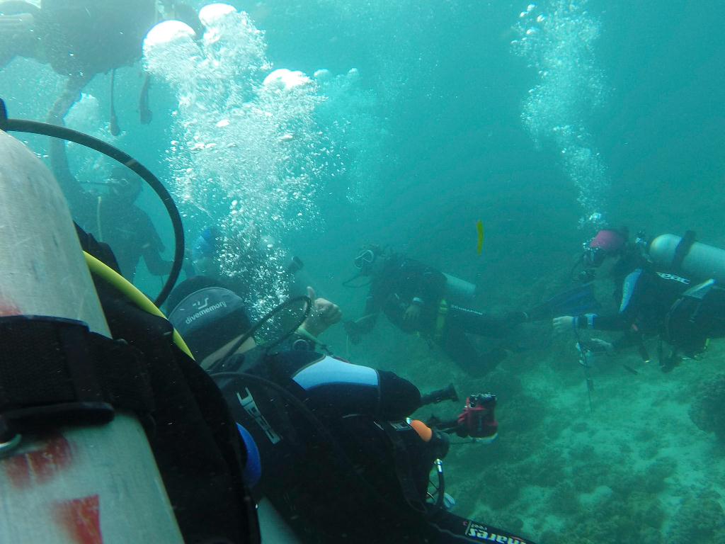 와이홀 찍고 월 유형 - 필리핀 세부 막탄 와이다이브 - 와이홀