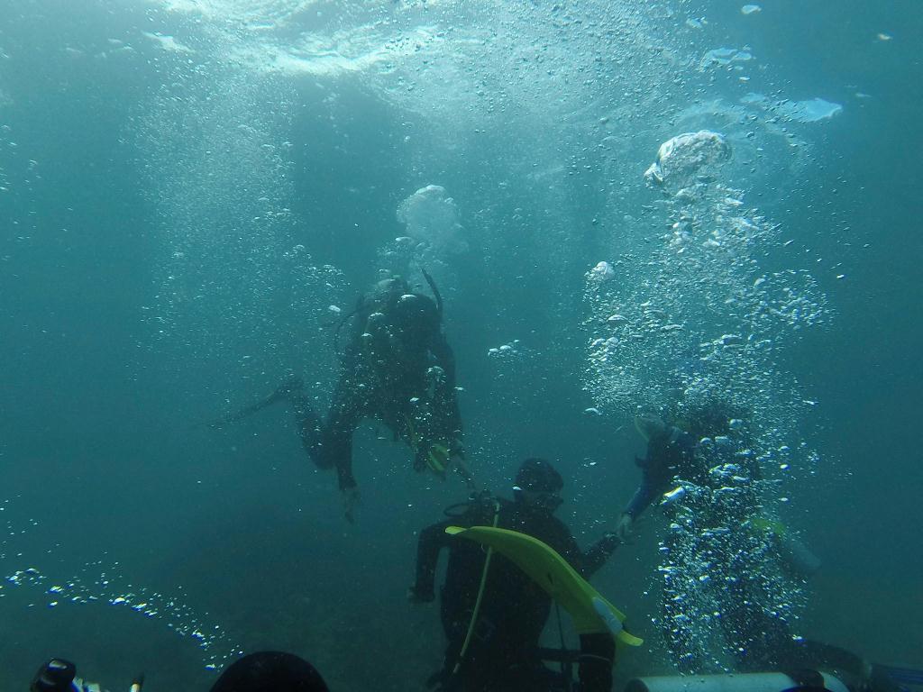 와이홀 찍고 월 유형 - 필리핀 세부 막탄 와이다이브 - 와이홀