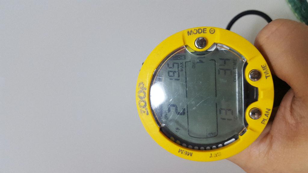 아라스쿠버 - 자연짬2