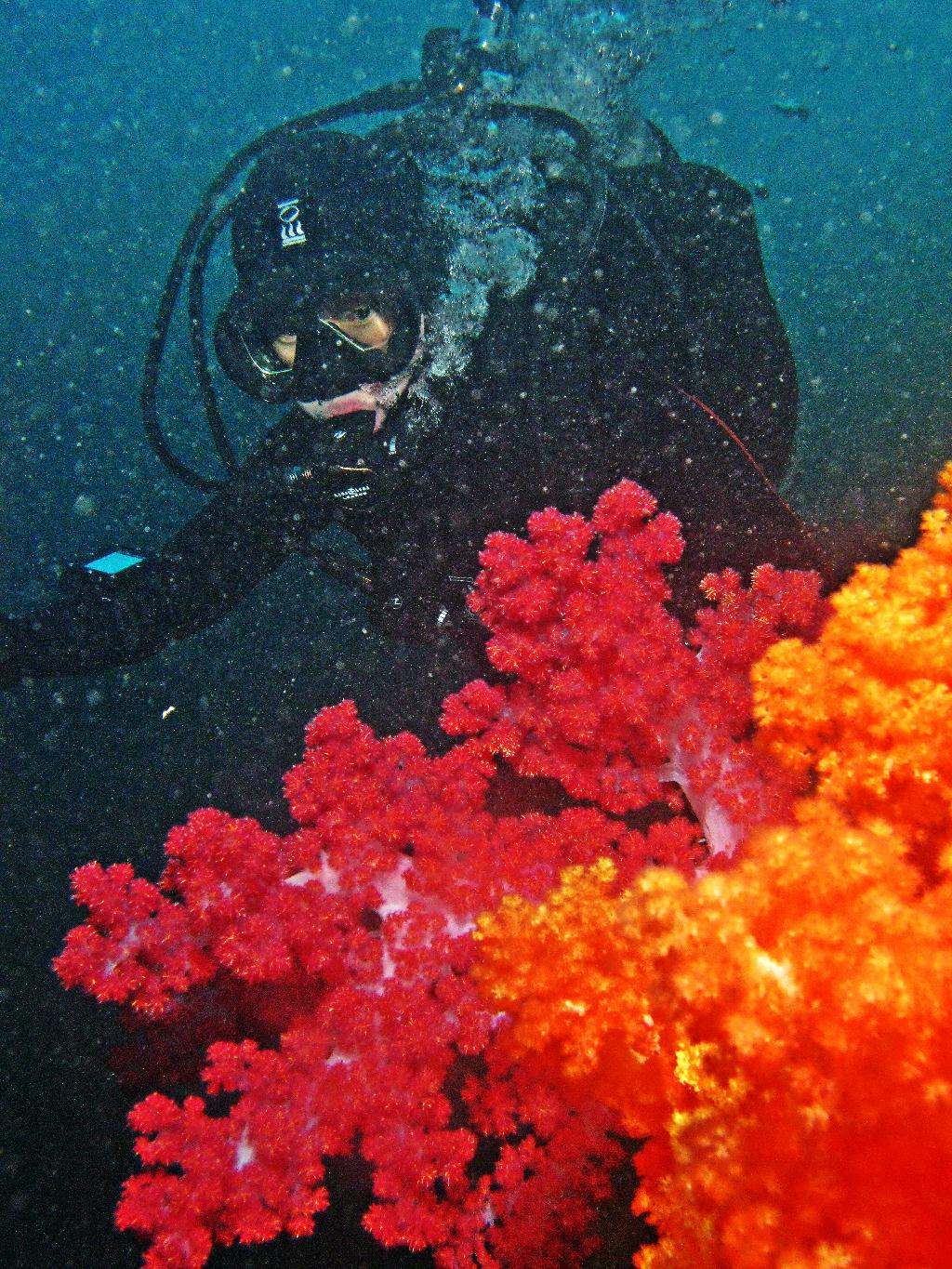 문섬새끼섬  - 불턱