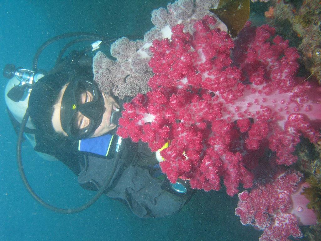 수중사진 - 섶섬 - 큰한개창