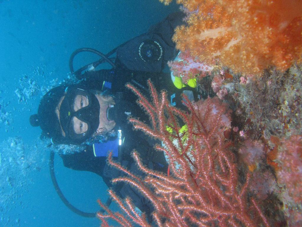 수중사진 - 섶섬 - 큰한개창