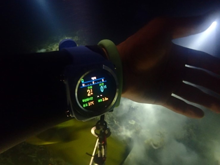 펀다이빙 - 필리핀 세부 와이다이브 - 하우스리프