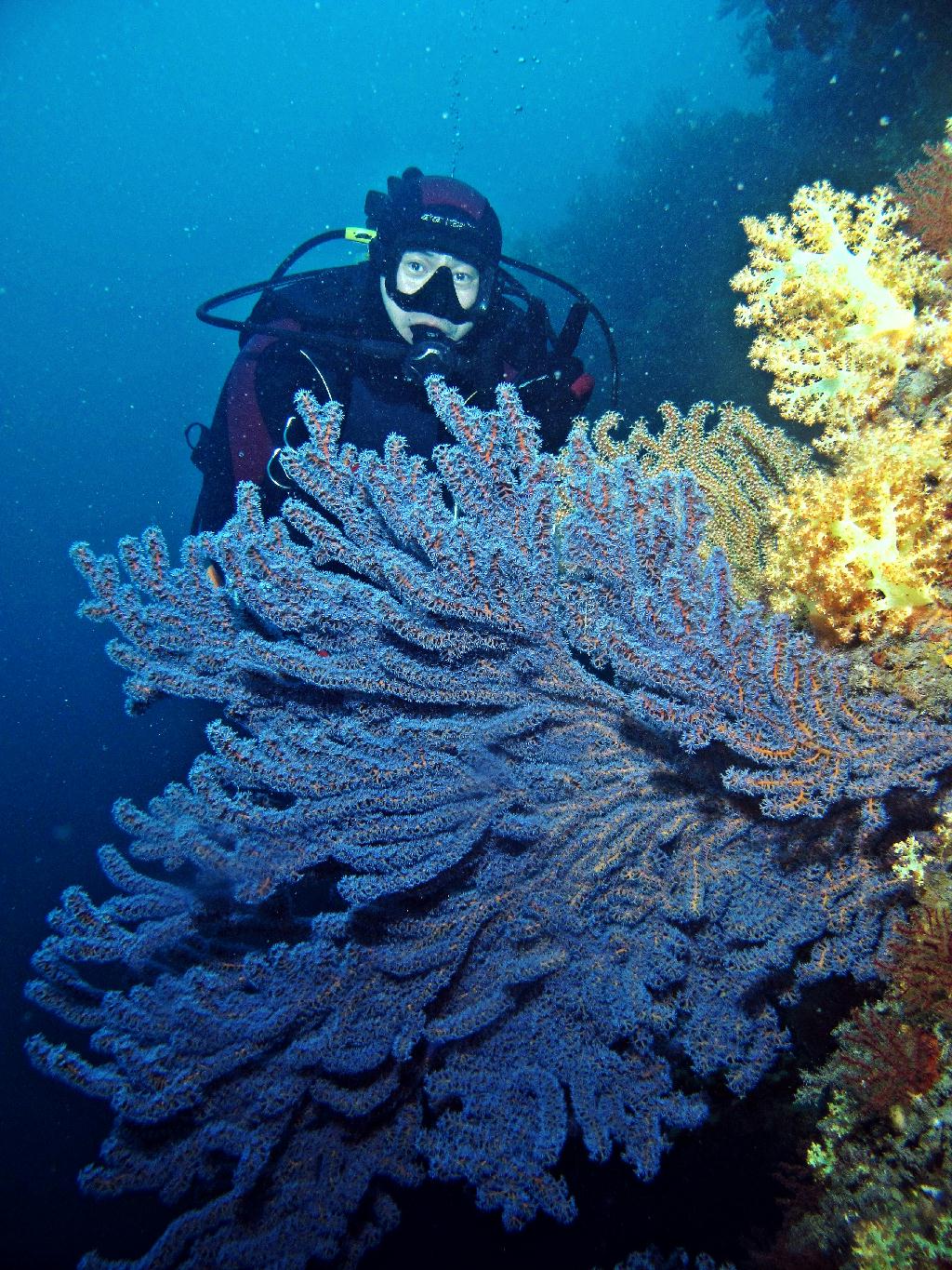 범섬 - 새끼섬직벽