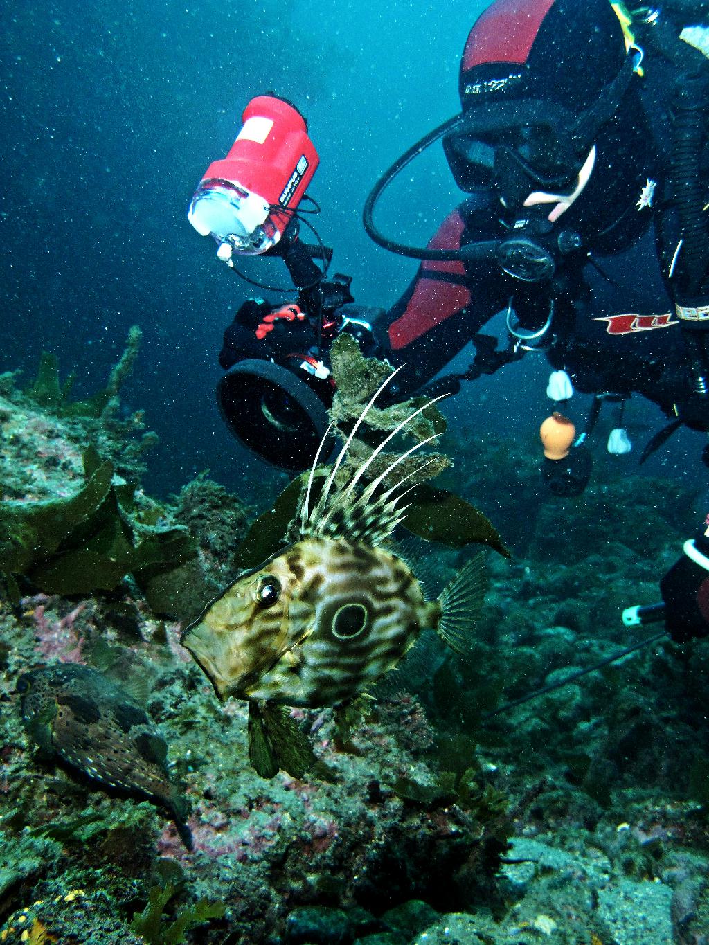 범섬 - 새끼섬직벽