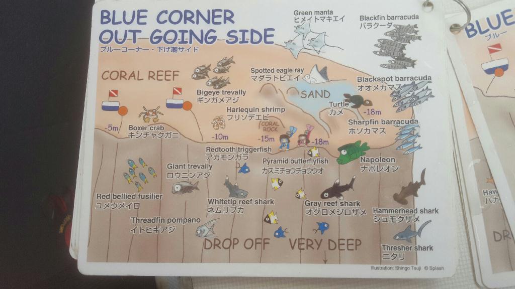 세계 최대 다이빙 포인트 - PALAU - Blue Corner
