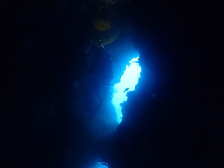 펀다이빙 - 필리핀 세부 와이다이브 - 와이홀