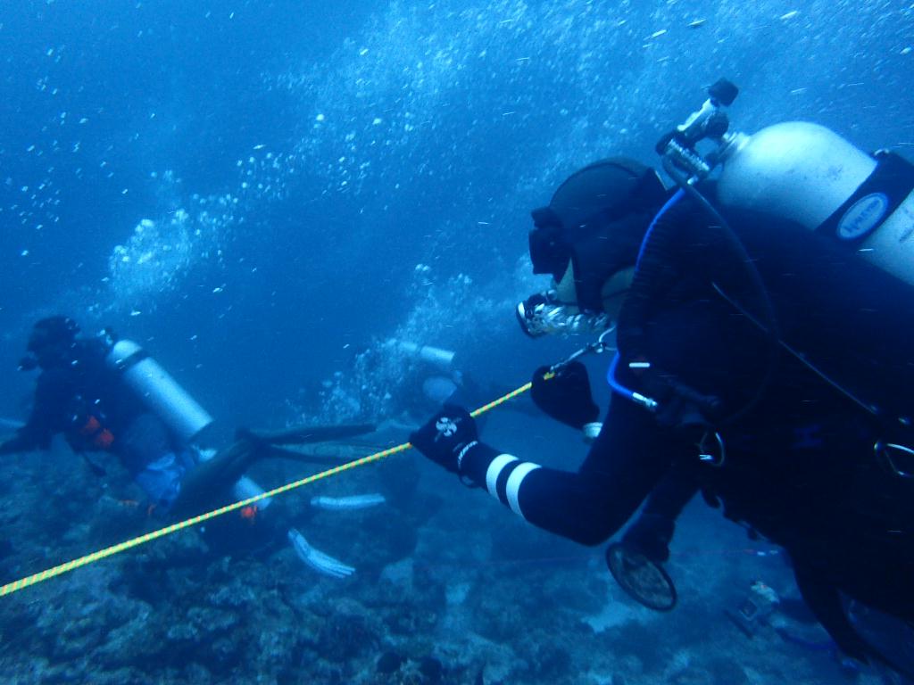 만타 포인트 - N. MALE - LANKAN MANTA POINT