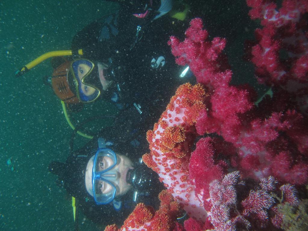 범섬 - 말미잘군락 