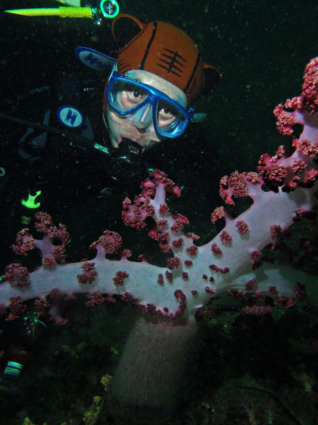 제주도 굿다이버 - 섭섬