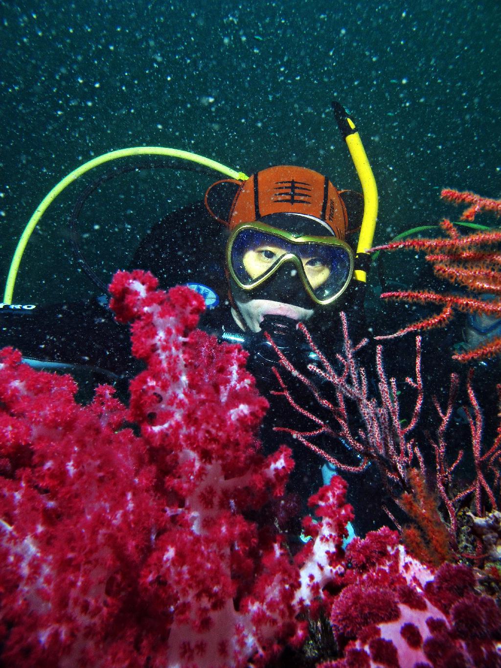 제주 굿다이버 - 범섬 새끼섬