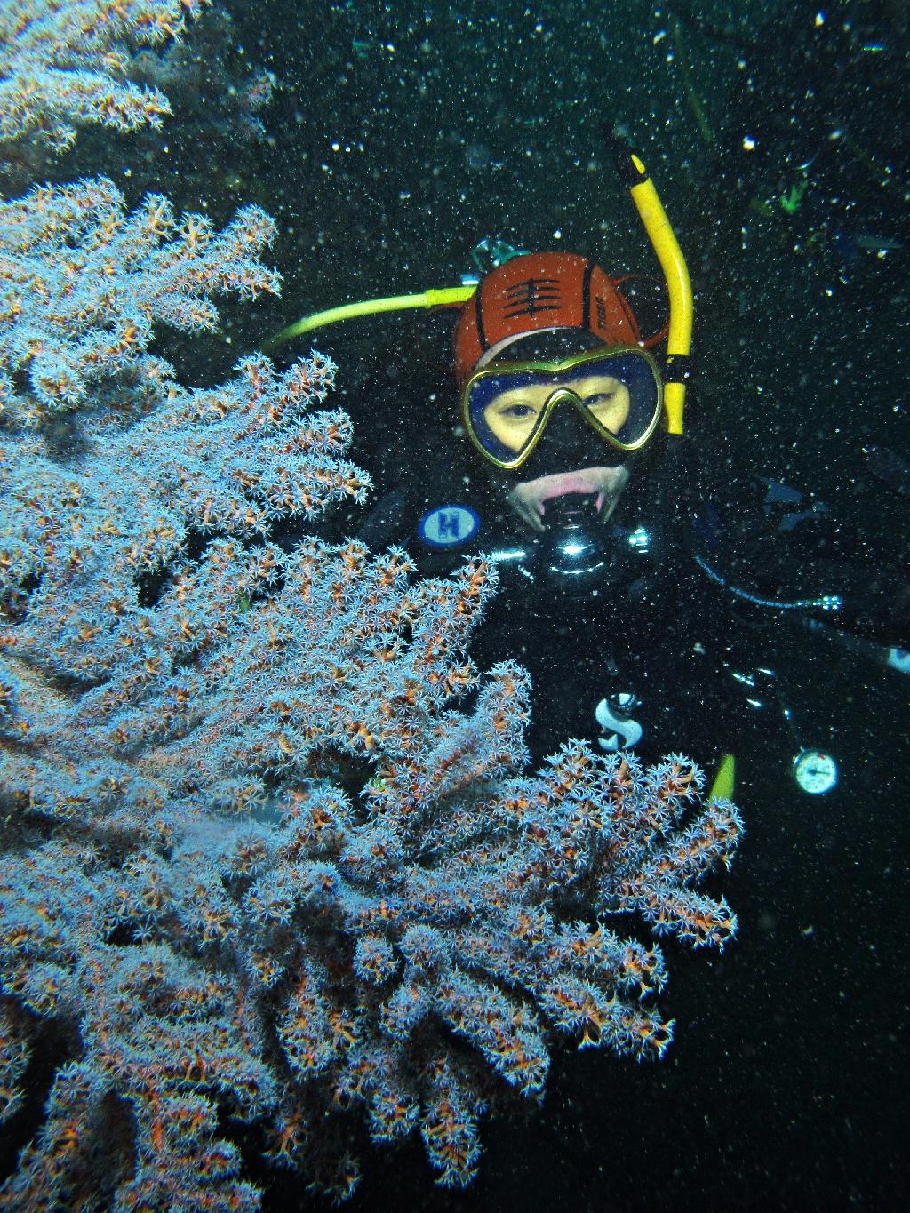 제주 굿다이버 - 범섬 새끼섬