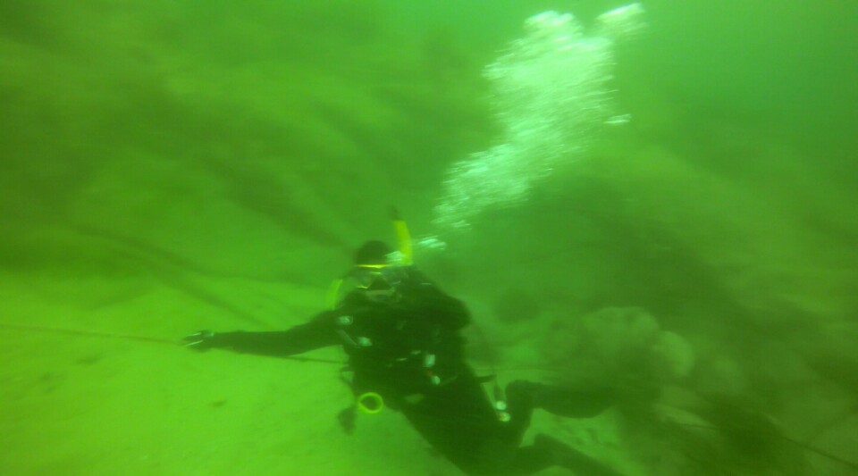 고성 문암LF리조트 - 명파대