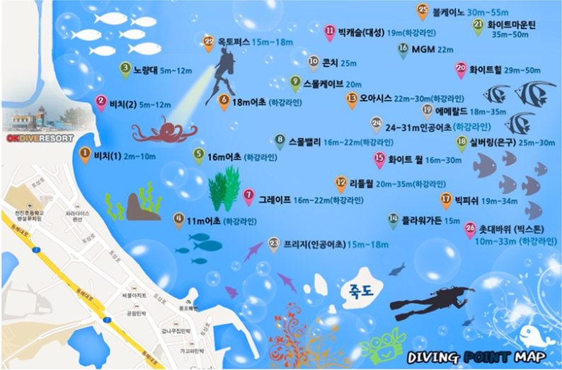 개해제 - 동해 OK Dove Resort - K2