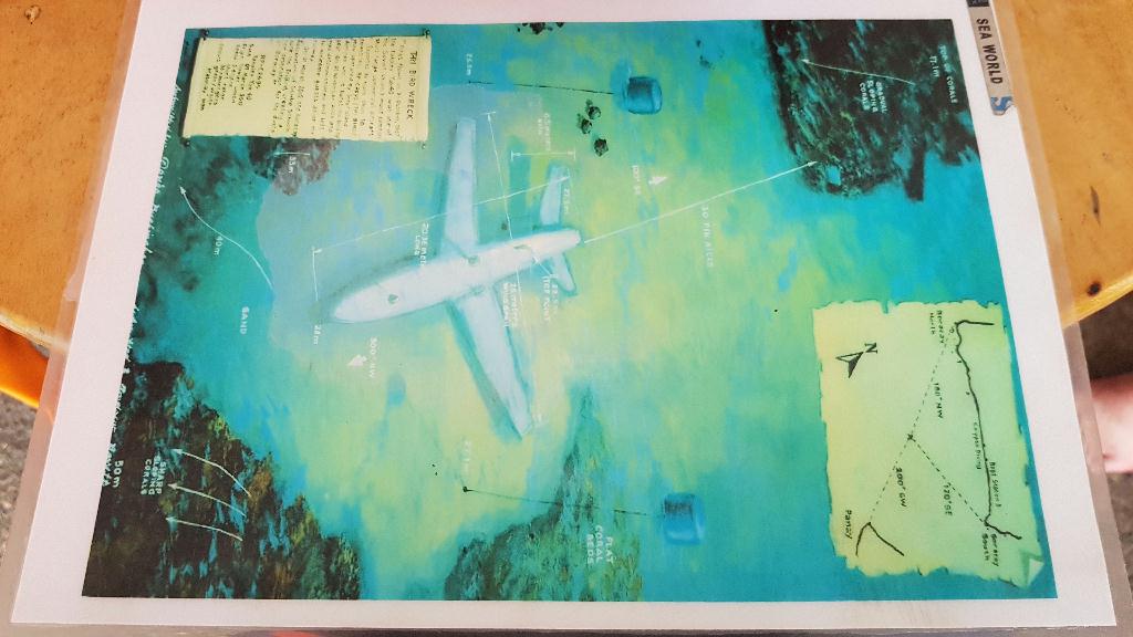 보라카이씨월드 - Tri Bird Airplane