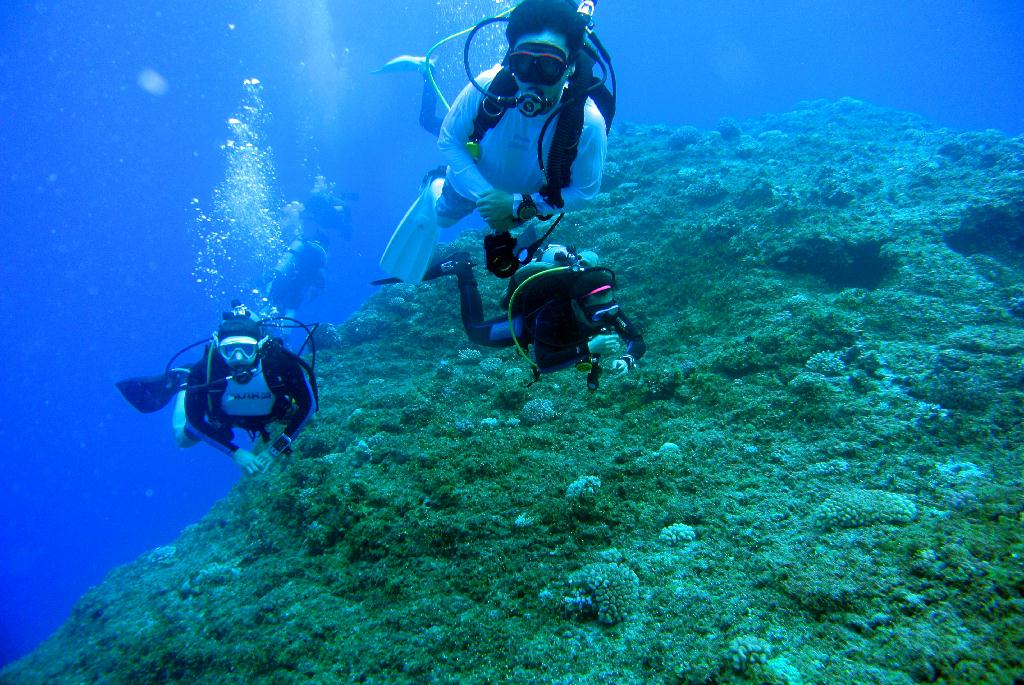 펀다이빙 - 사이판_솔티라이프 - 플래밍