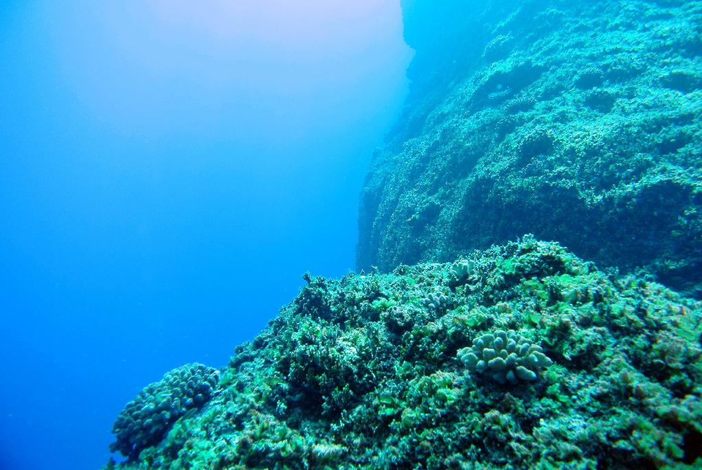 펀다이빙 - 사이판_솔티라이프 - 플래밍