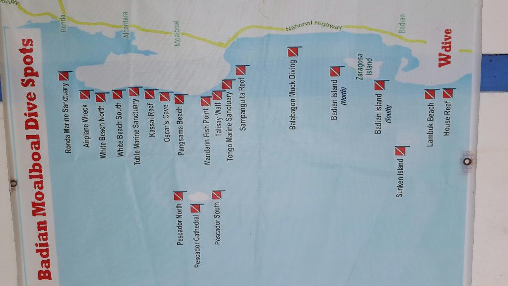 체크 다이빙 - Moalboal Badian - House reef