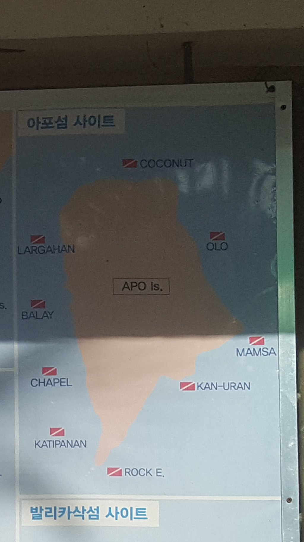 APO ISLAND 다이빙 - Cebu Liloan Nobless Resort - APO ISLAND MAMSA