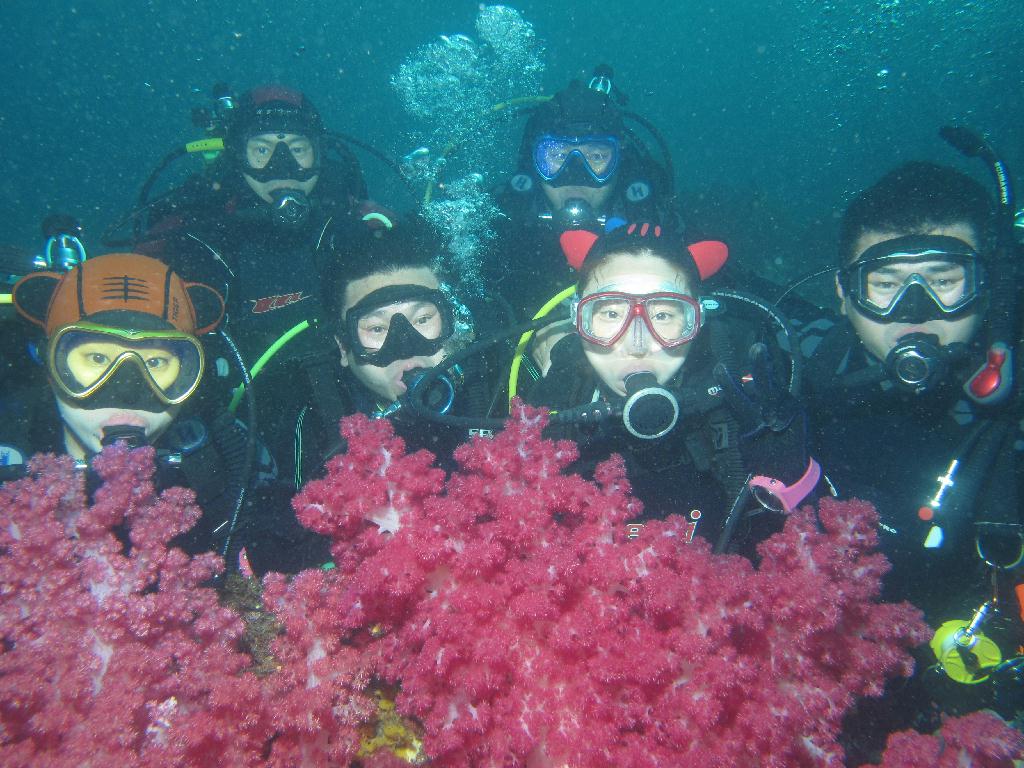 펀다이빙 - 제주도 굿다이버 - 문섬 새끼섬