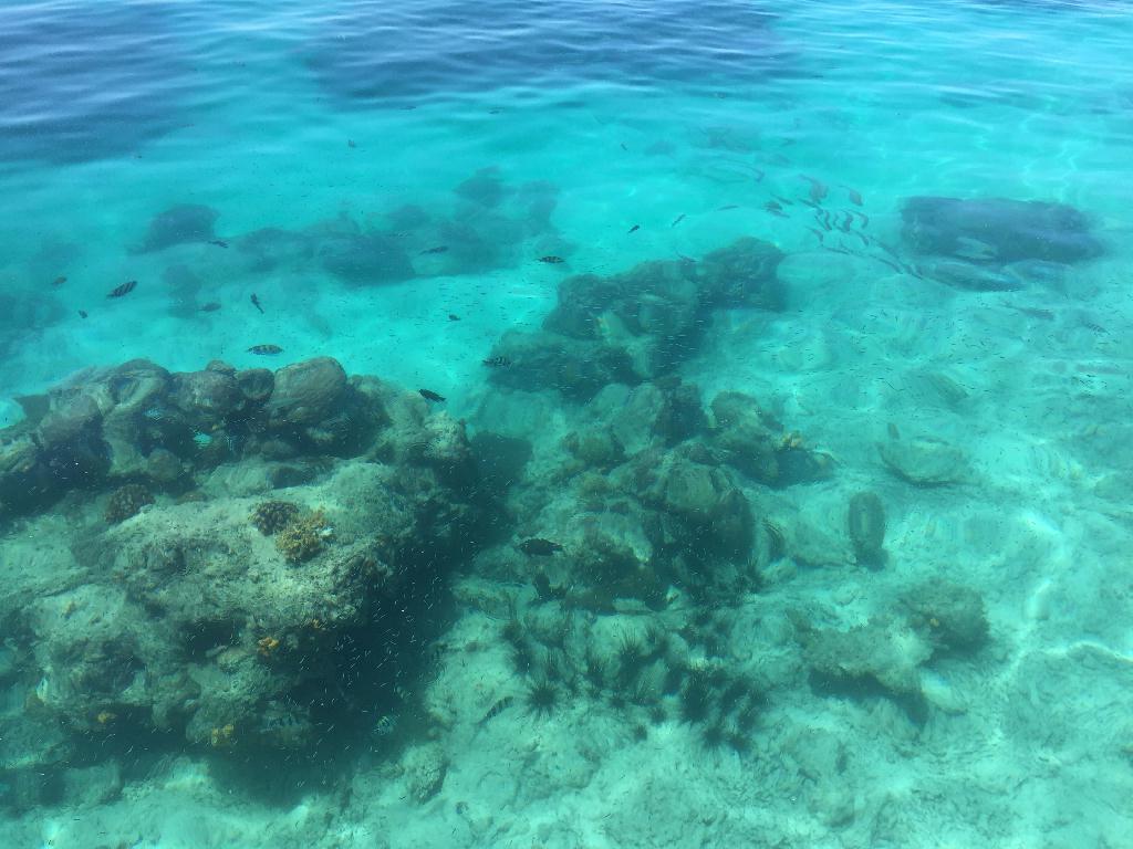 Fun diving - Mabul Island - Seaventures (유조선)