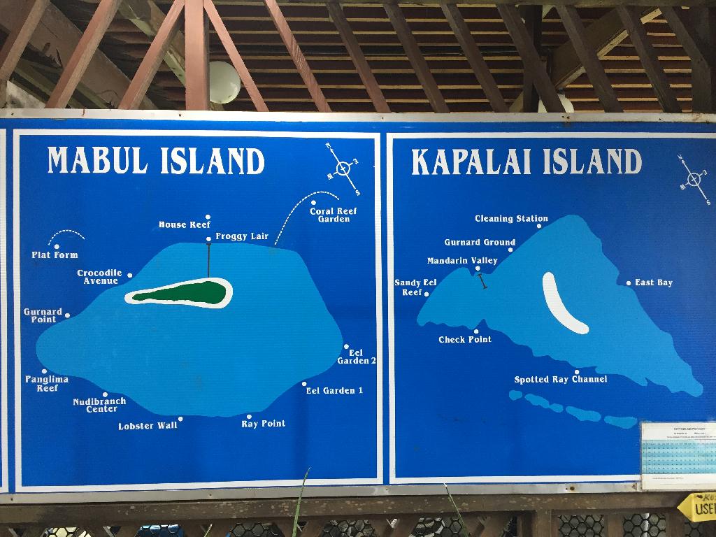 Fun diving - Kapalai Island - Check point