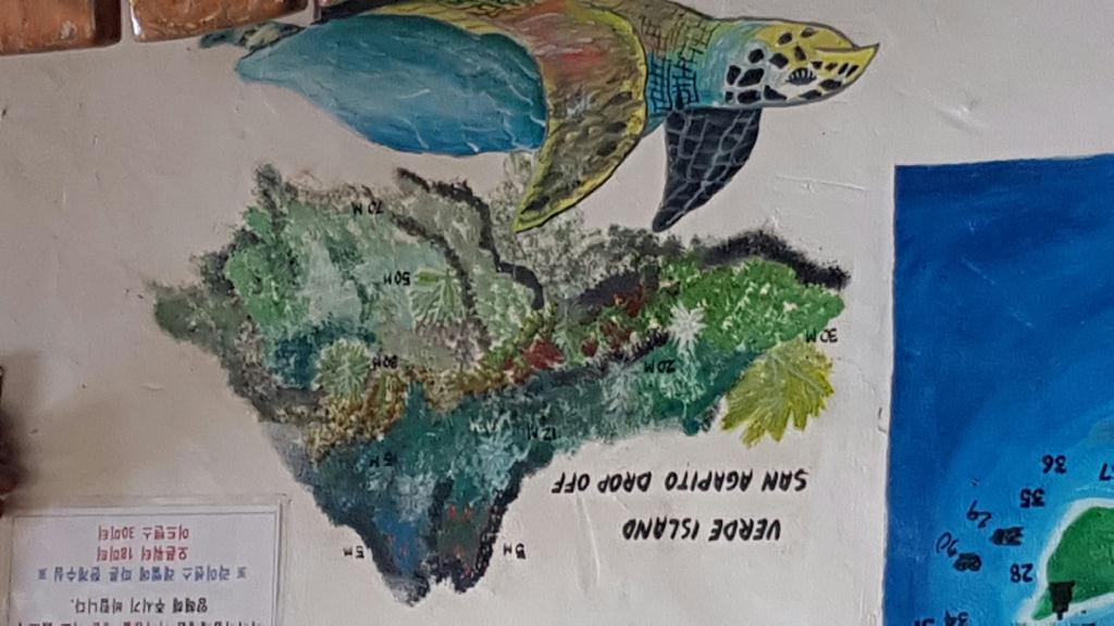 사방 씨퀸 - verde island