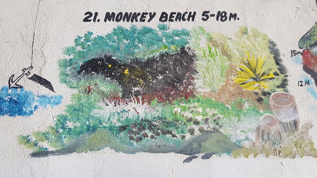 사방 - 21.monkey bech