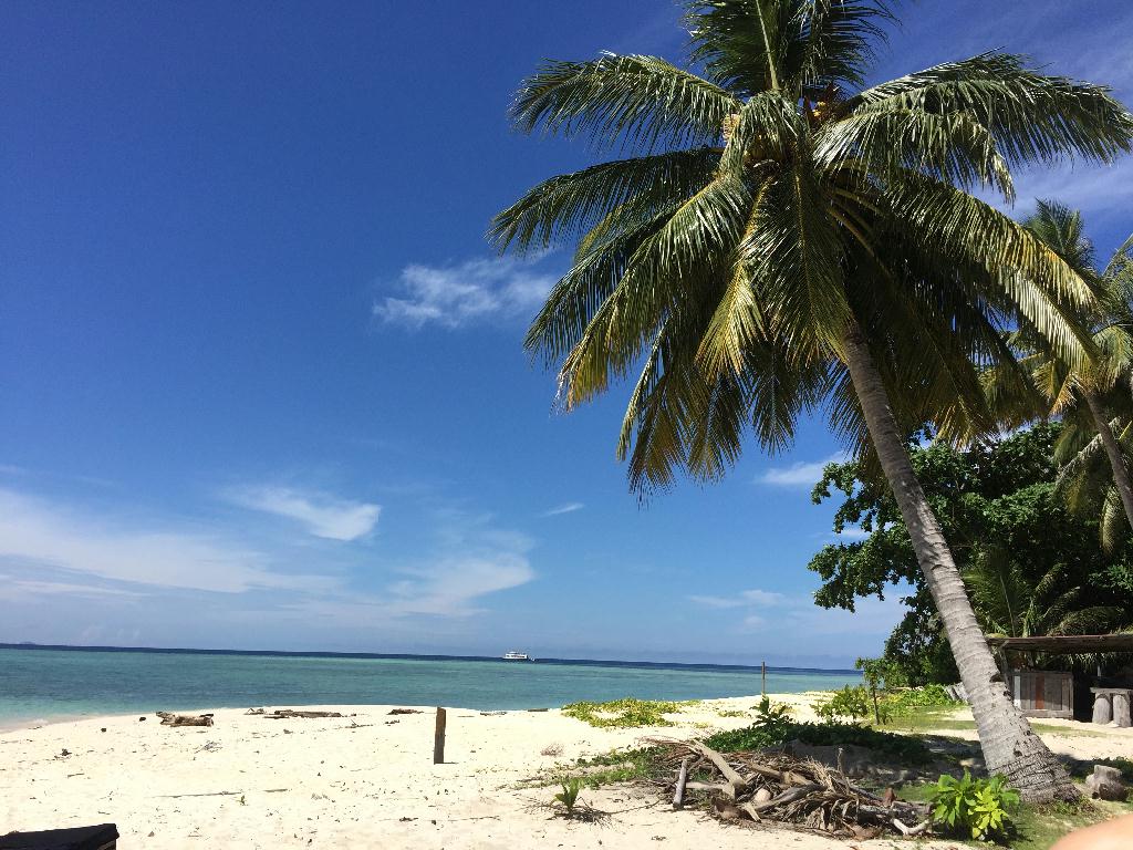 Fun diving - Sipadan Island  - Baraccuda point