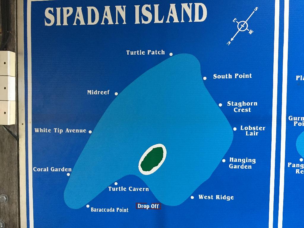 Fun diving  - Sipadan Island - Turtle Cavern