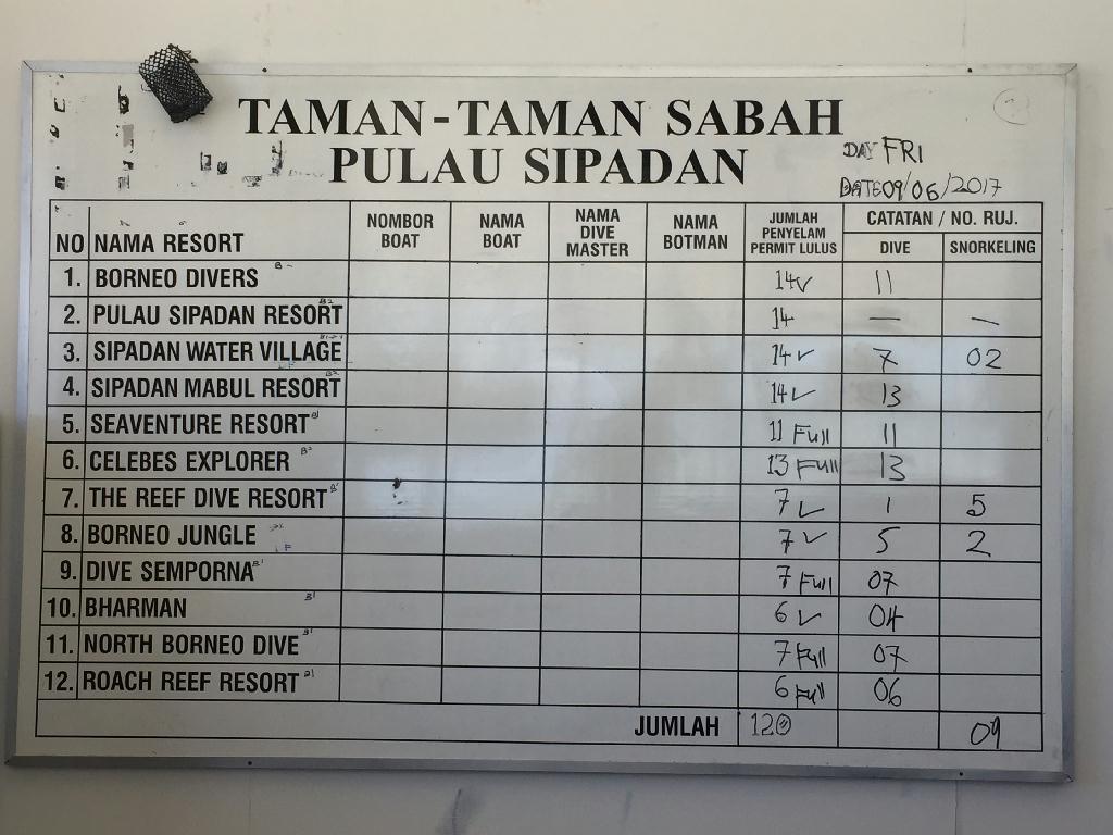 Fun diving - Sipadan Island  - Staghorn crest