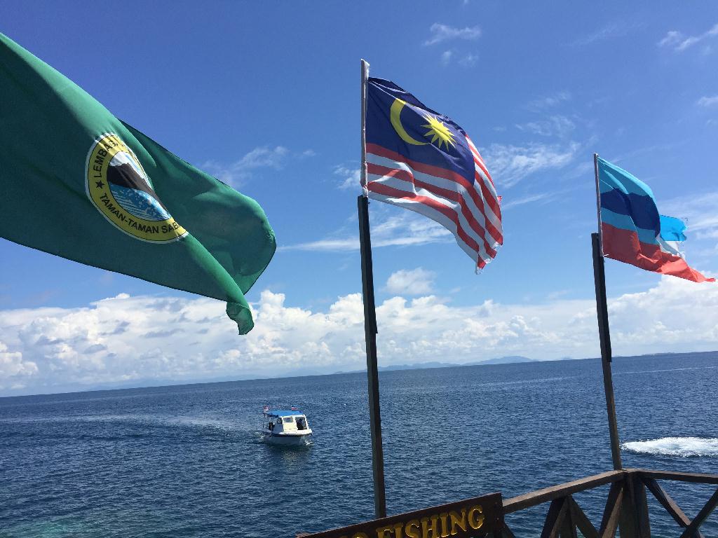 Fun diving - Sipadan Island  - Staghorn crest