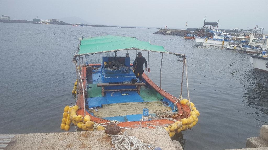제주도 다이빙 - 제주도 - 한림 유어장 16m 철탑