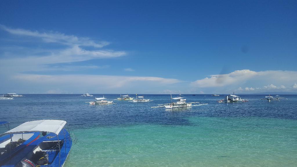 보홀 직항 기념 다이빙 - BOHOL Blue Water Resort - House Reef.