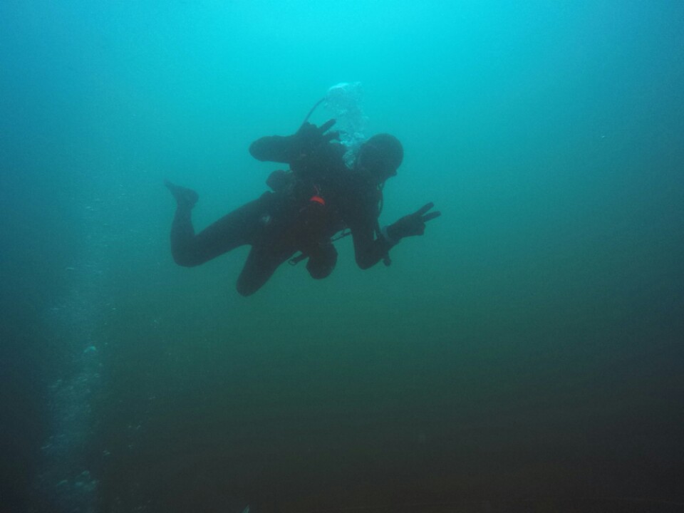 첫동해입수 - 양양 - 인공어초