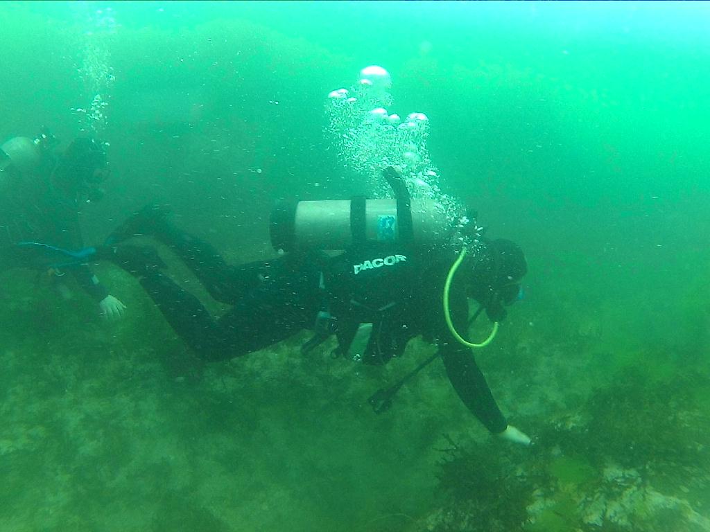 오픈워터개방수역다이빙 - 고성오케이다이브 - 비치포인트