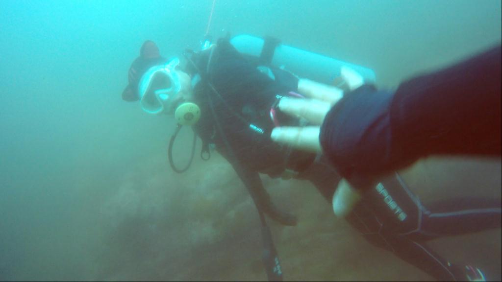 동해 다이빙 - 강원도 양양 - 아치