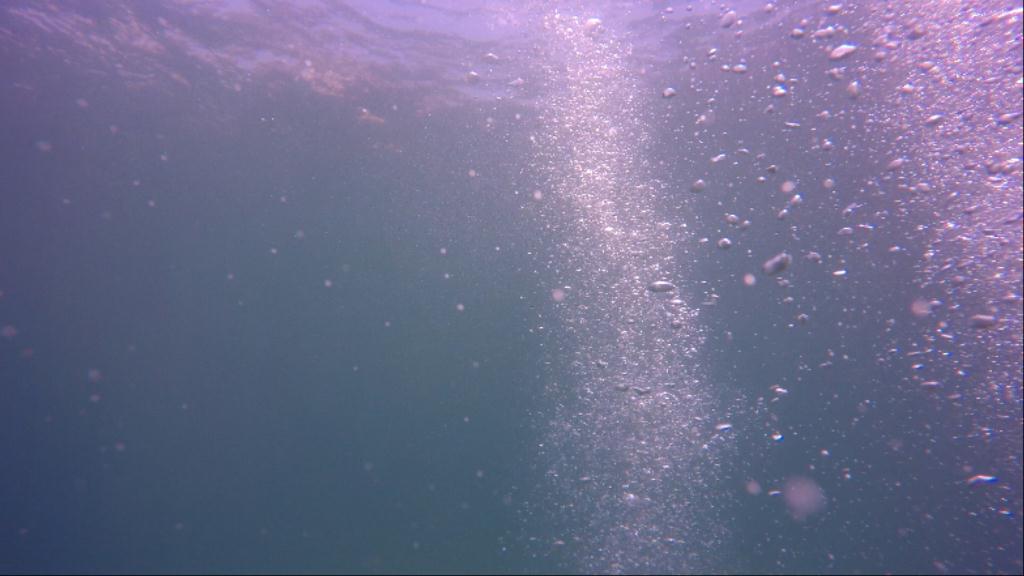 동해 다이빙 - 강원도 양양 - 아치