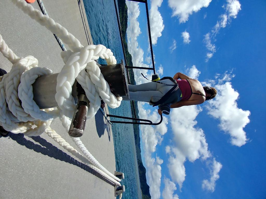 만타 및 참치 스쿨랑 관찰 - 일본 오키나와 아카 시사 - 나이트