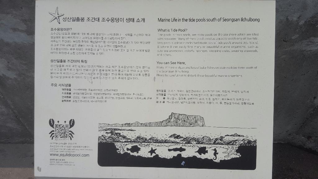 성산 일출봉 앞 바다 다이빙 - 제주 성산 스쿠버 리조트 - 자리여