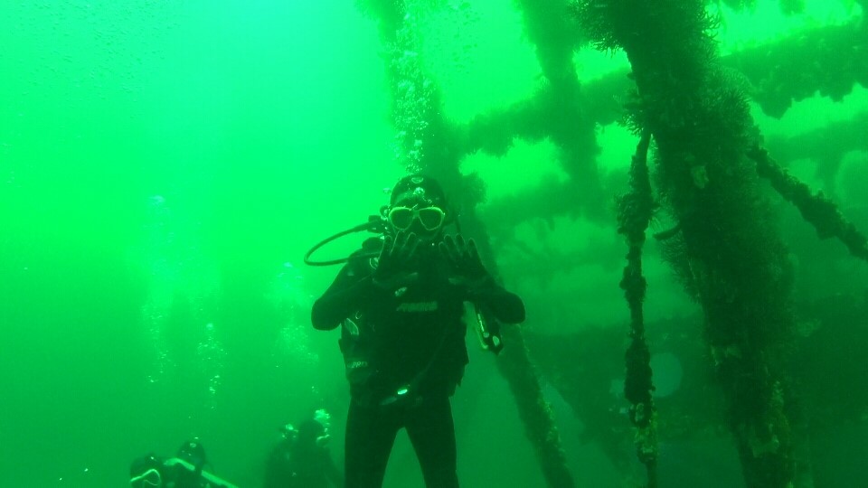 두번째다이빙 - 강릉/사천다이브 - 난파선