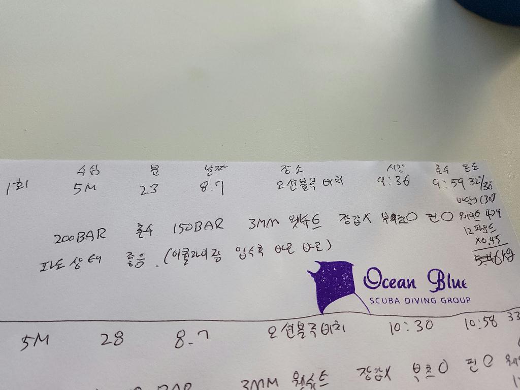 오픈워터자격증 - 오션블루비치