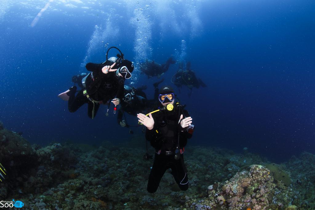 해외투어 - 보홀 - 하우스 reef