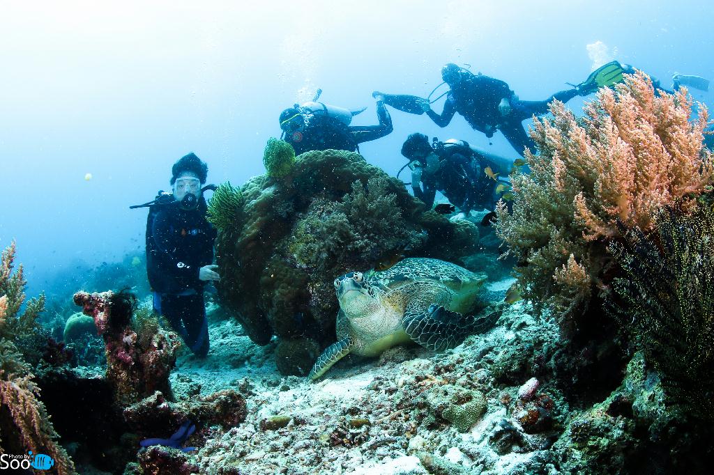 해외투어 - 보홀 - 하우스 reef